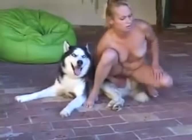 Video :Husky dog's dick got rode on by blonde beastie gal